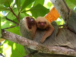 Vista Oceana, Stunning Ocean View Villa