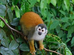 Vista Oceana, Stunning Ocean View Villa