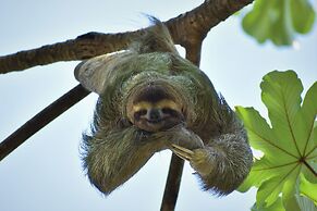 Vista Oceana, Stunning Ocean View Villa