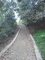 Three Boys Apartment and Guest House