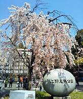 Hotel Brilio Asakusabashi