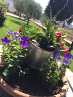 Azienda Agrituristica I Tre Casali