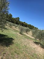 Azienda Agrituristica I Tre Casali