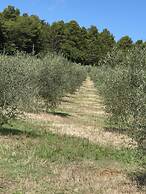 Azienda Agrituristica I Tre Casali