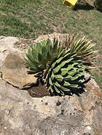 Azienda Agrituristica I Tre Casali