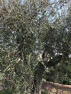 Azienda Agrituristica I Tre Casali