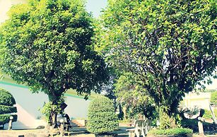 Hawaii Resort Phu Quoc