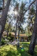 Calypso by halu! Sani Villas