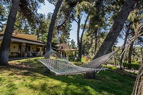 Calypso by halu! Sani Villas