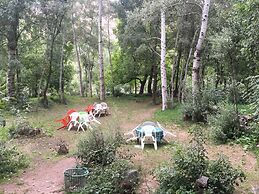 Auberge Amsouzart Aitsti Idar