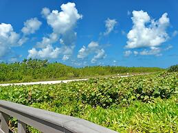 South Seas Tower 4-1204