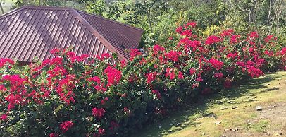 Villa Cayo - Adults Only