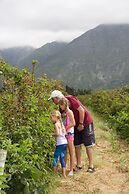 Wildebraam Berry Estate