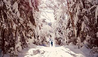 Chalets Le Village Suisse