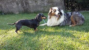 B&B Cascina San Martino