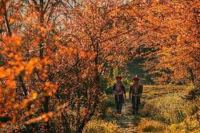 Sapa Dao Homestay