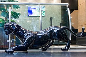 Rede Andrade Amazônia