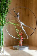 Chandakos 8 Design Apartments