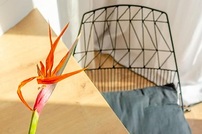 Chandakos 8 Design Apartments