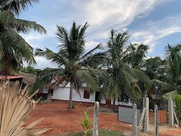 Palm view inn-Nilaveli