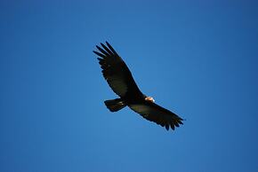 Guesthouse La Ressource