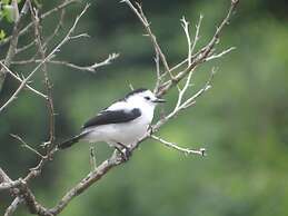 Guesthouse La Ressource