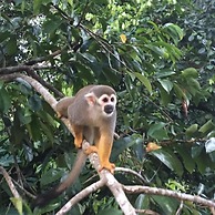 Guesthouse La Ressource