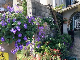 Puli Town Bed and Breakfast