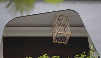 Purple Hue BnB Central Hub