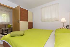 Apartment Shiny Love