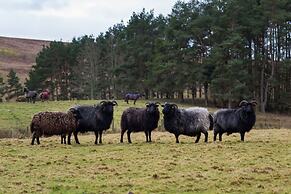 Brown Rigg Guest Rooms