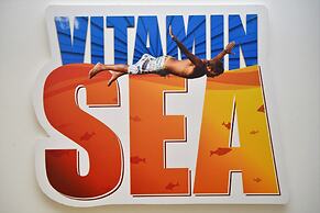 Son of a Beach Hostel