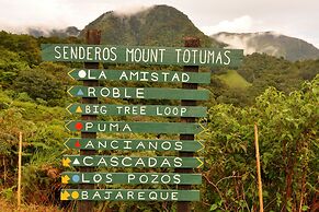 Mount Totumas Cloud Forest