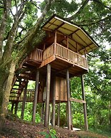 Mount Totumas Cloud Forest