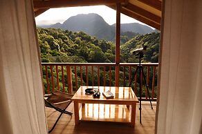 Mount Totumas Cloud Forest