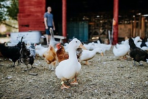 Oddfellow Inn & Farm