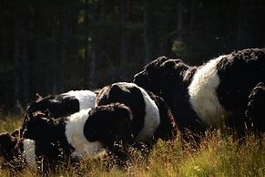 Torlinnhe Guesthouse