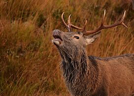 Torlinnhe Guesthouse