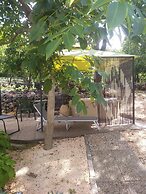 Holiday House