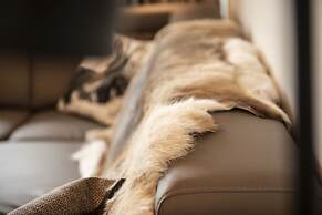 Appartement Dorf Wagrain Alpenleben