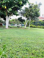 Çıralı Marina Loft Hotel