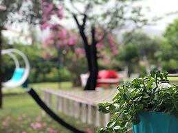 Çıralı Marina Loft Hotel