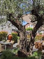 Hotel und Restaurant Schmachtendorf