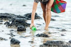 Lagoon Attitude - Adults Only