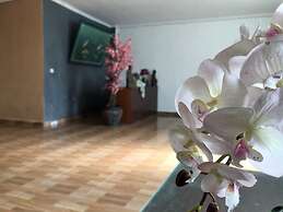 Arta Garden Guest House & Hostel