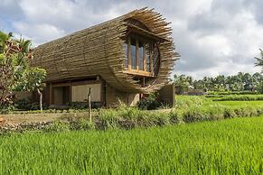 Beehouse Dijiwa Ubud