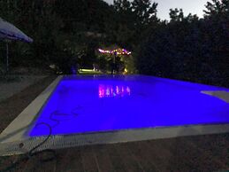 Tetto Verde