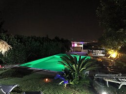 Tetto Verde