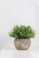 A World Aparts - 32 Calabria