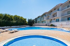 Akisol Tavira Paleto